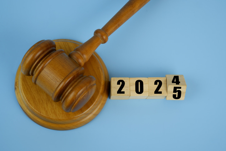 Important Civil Litigation Trends To Watch In 2025 Impacting Legal Strategy